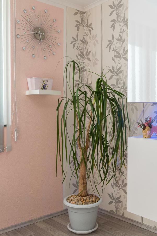 Apartment Danijela II シベニク エクステリア 写真